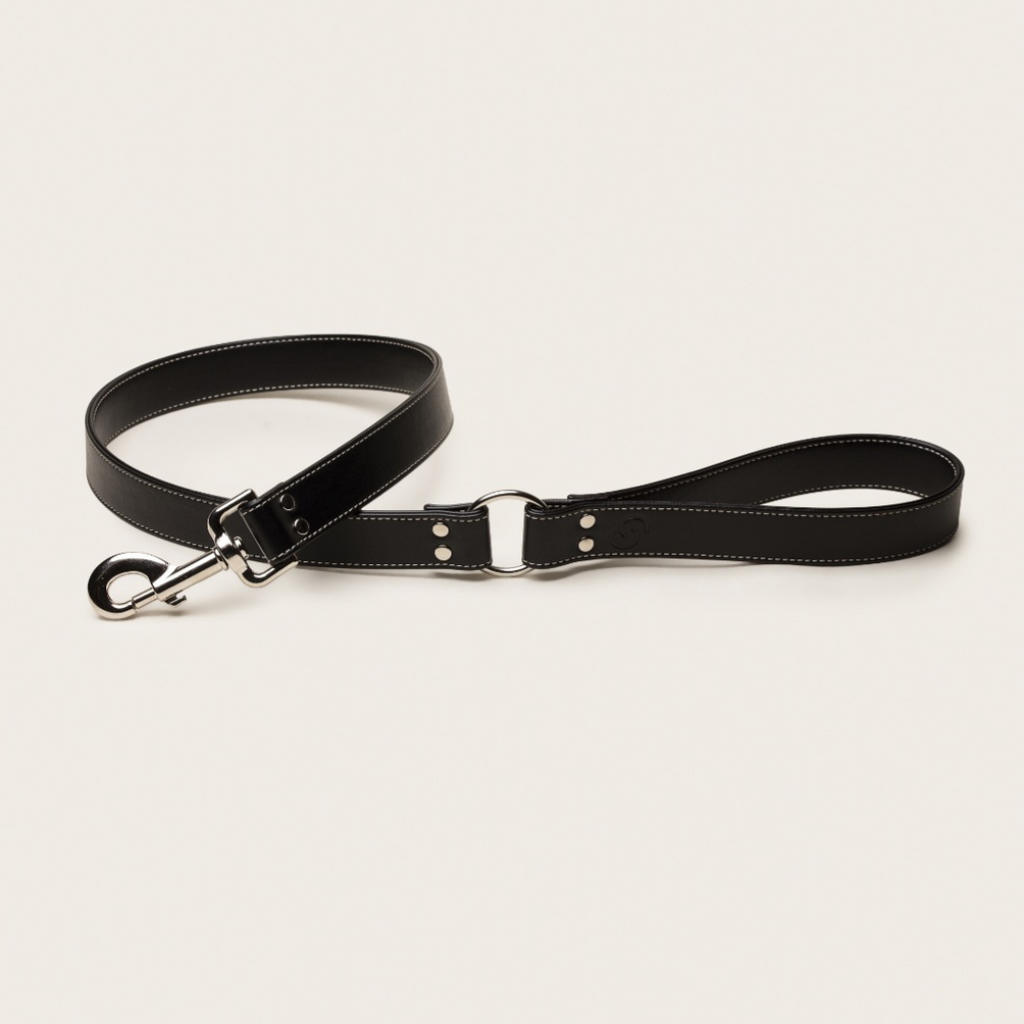 Ensemble Noir en cuir de pomme — Collier, laisse et porte-sac assortis