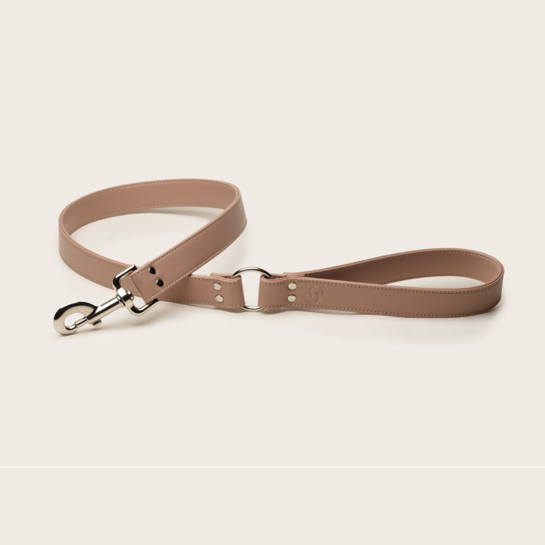 Ensemble Rose Poudré en cuir de pomme — Laisse et porte-sac assortis