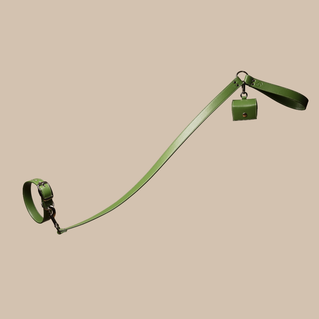 Laisse en cuir de pomme vert forêt