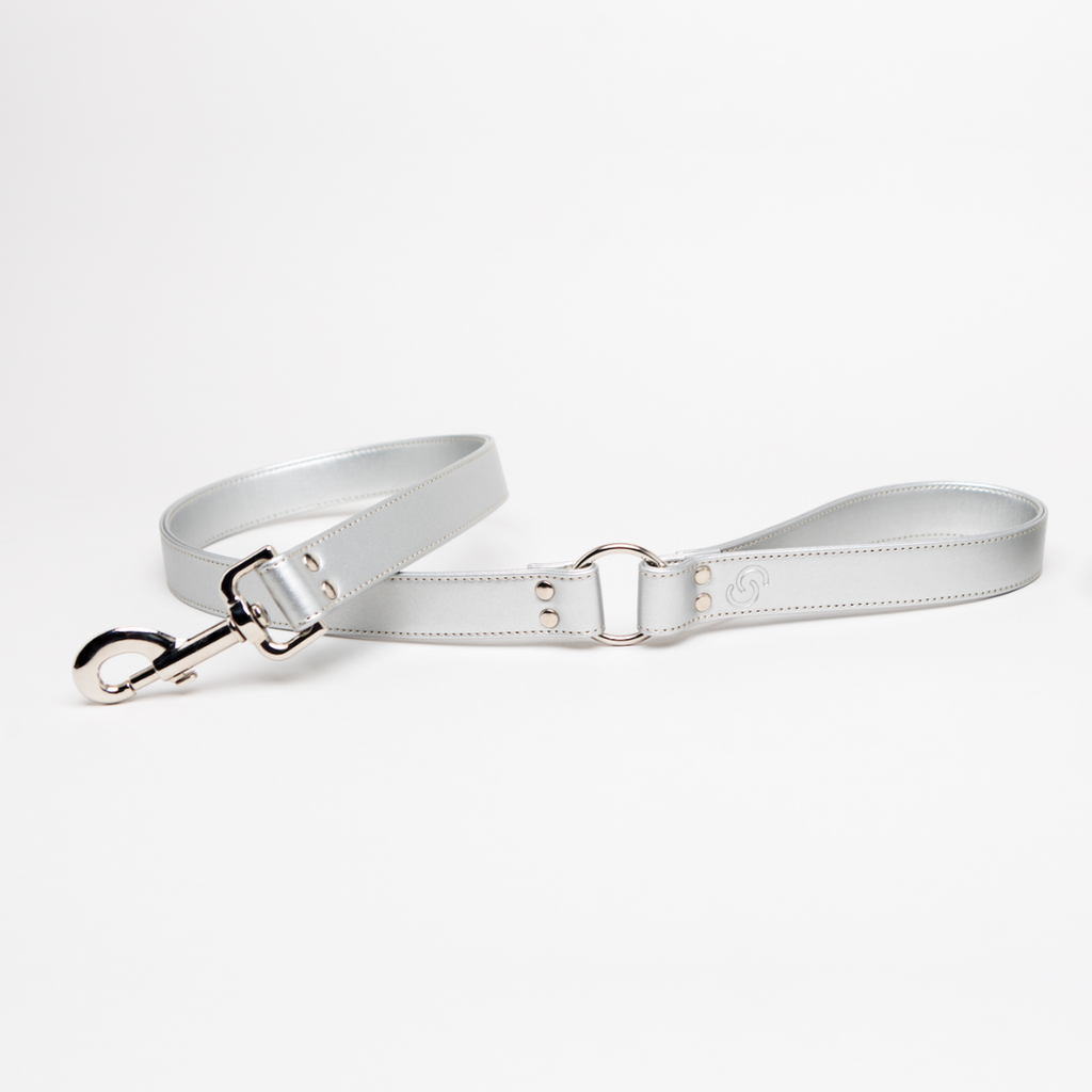 Laisse en cuir de pomme argentée — Édition Silver