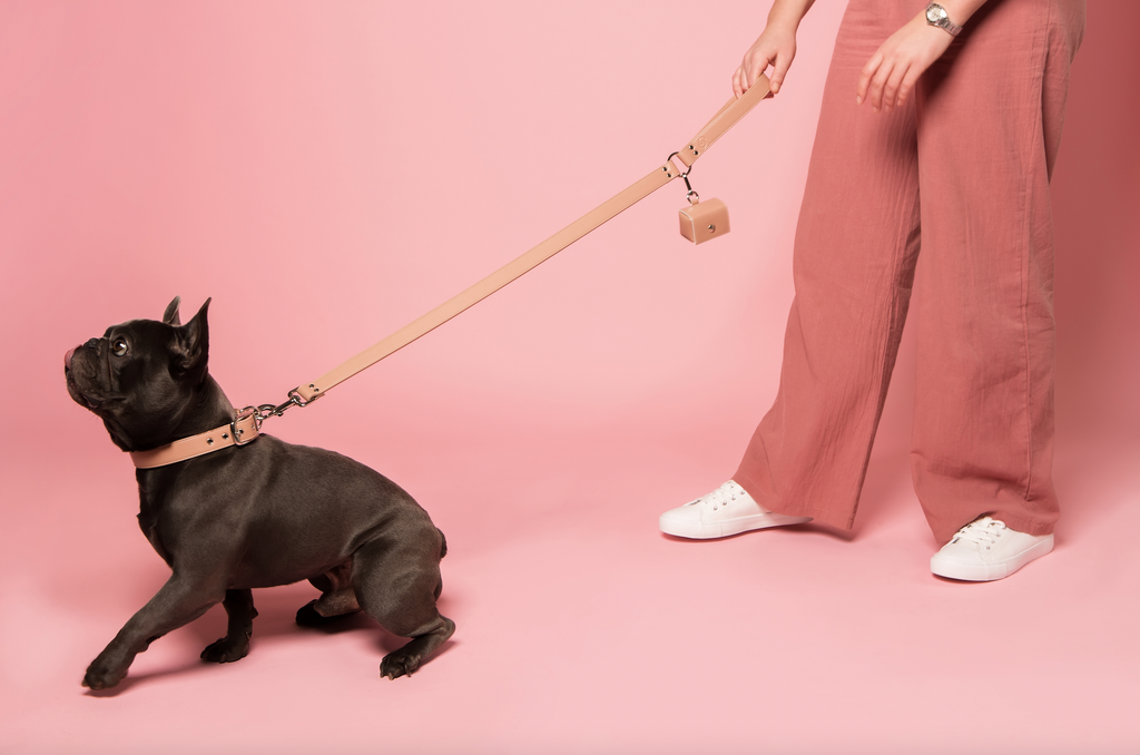 Ensemble Rose Poudré en cuir de pomme — Laisse et porte-sac assortis