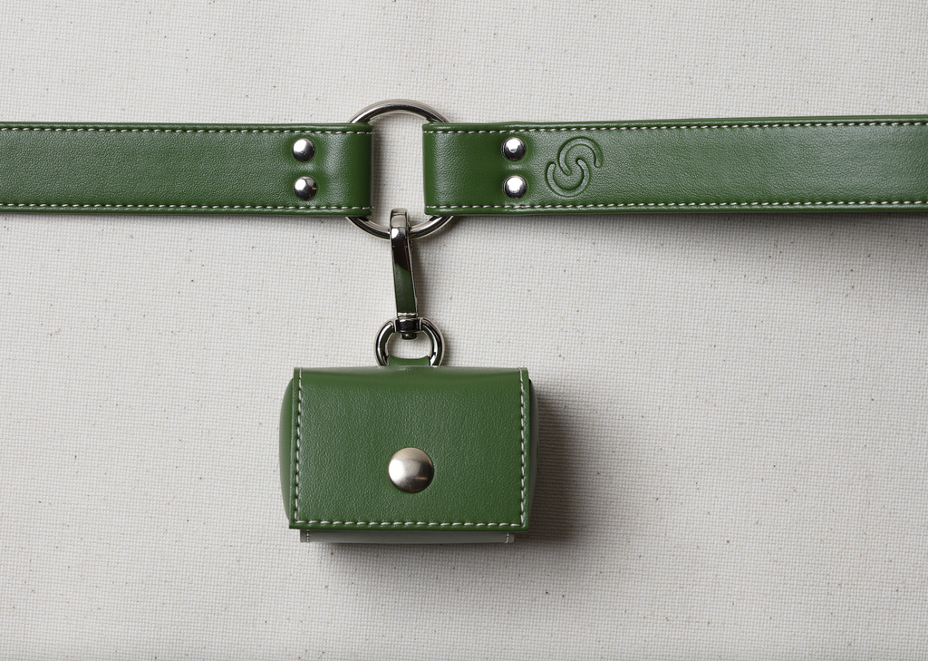 Laisse en cuir de pomme vert forêt