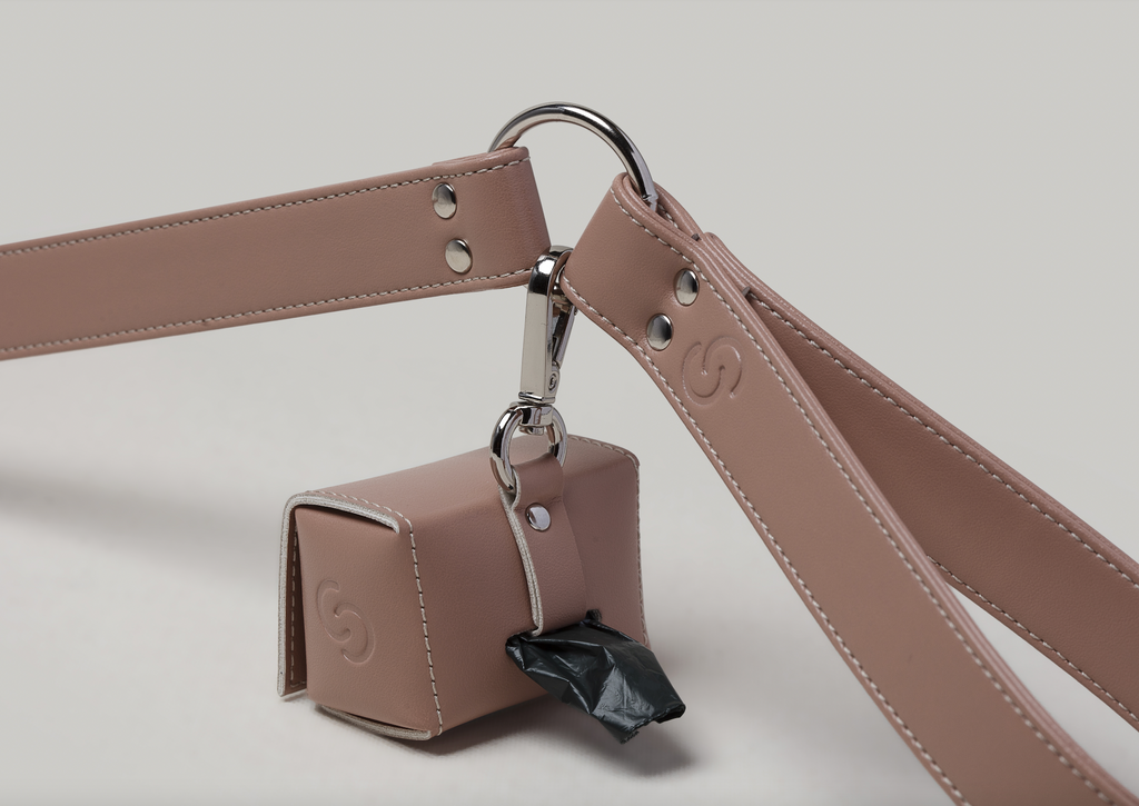 Porte-sac en cuir de pomme — Sacs ou friandises